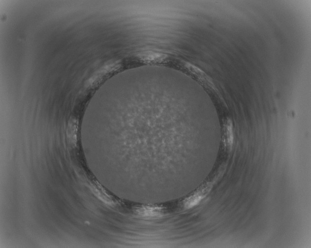 X0000085260664200703091325