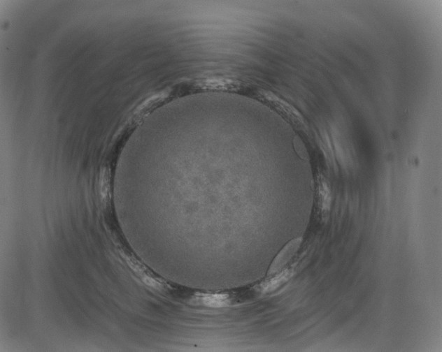 X0000085260665200703091325