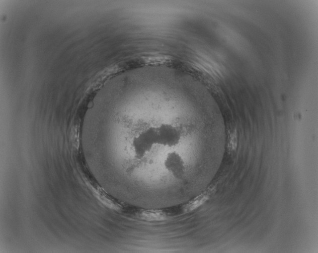 X0000085260666200703091325