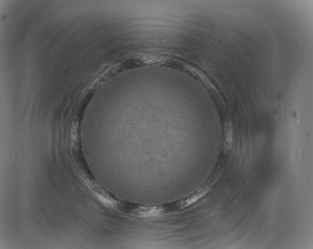 X0000085260667200703091325