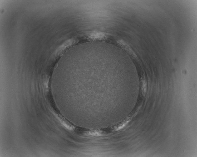 X0000085260668200703091325