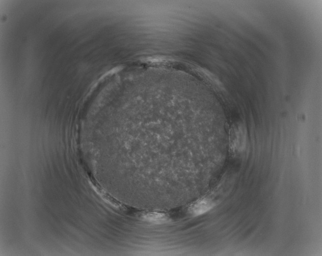 X0000085260669200703091325