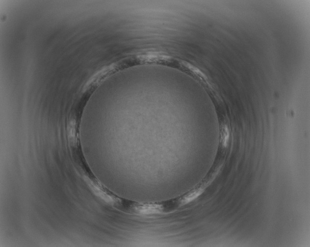 X0000085260670200703091325