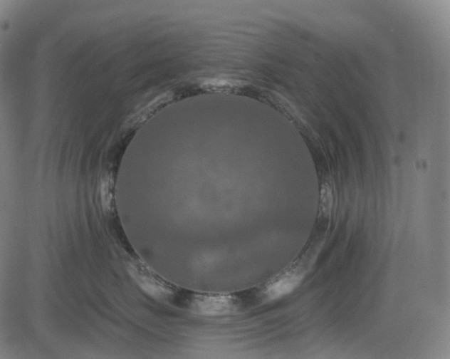 X0000085260671200703091325