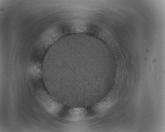 X0000085260672200703091325