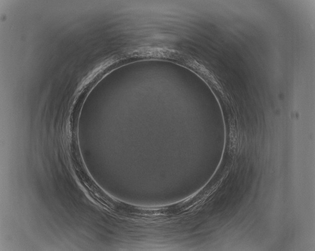 X0000085260674200703091324