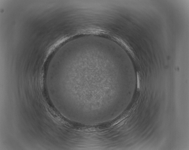 X0000085260675200703091324