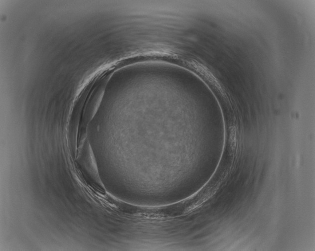 X0000085260676200703091324