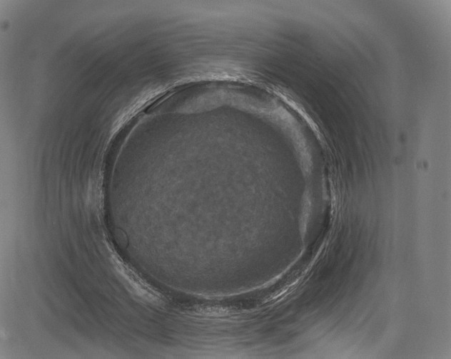 X0000085260677200703091324