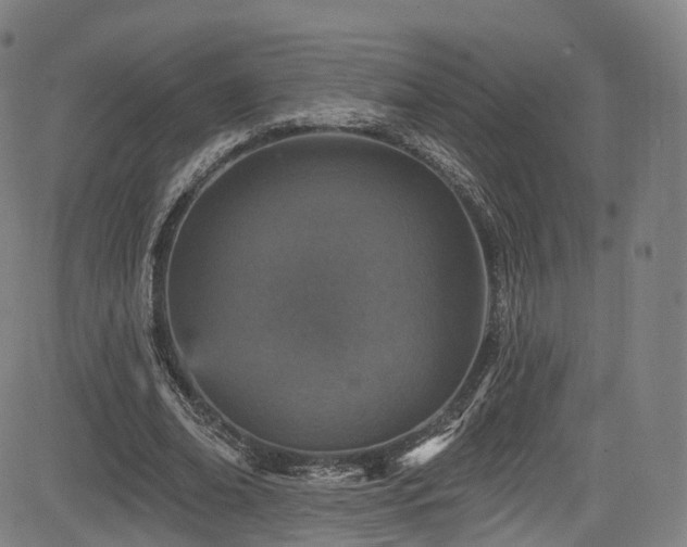 X0000085260678200703091324