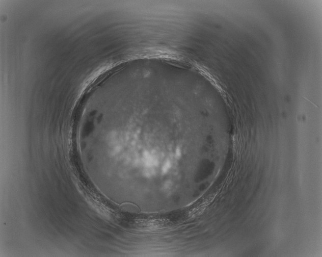 X0000085260679200703091324