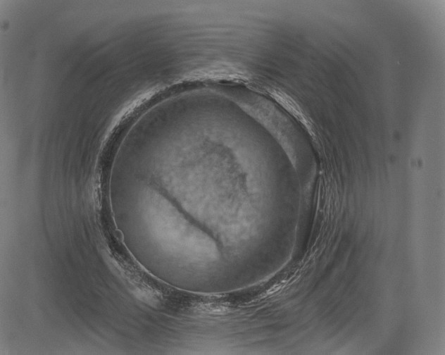 X0000085260680200703091324