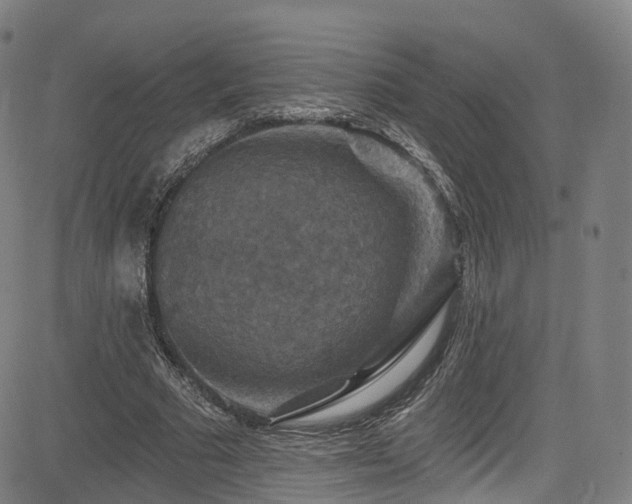 X0000085260681200703091324