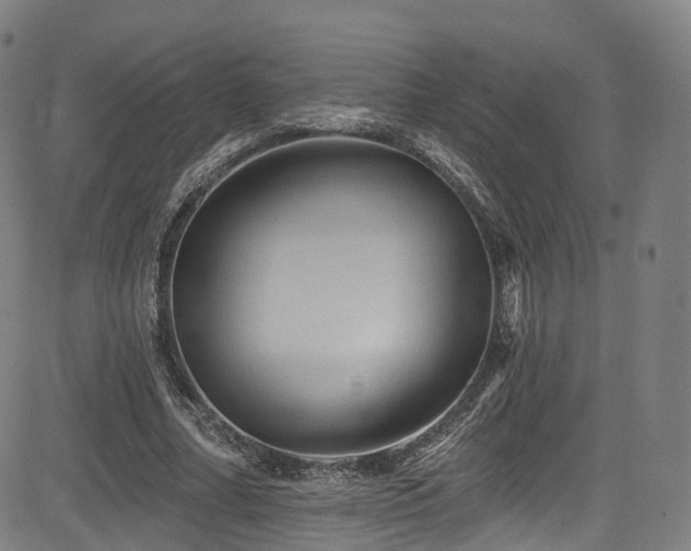 X0000085260682200703091324