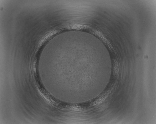 X0000085260683200703091324