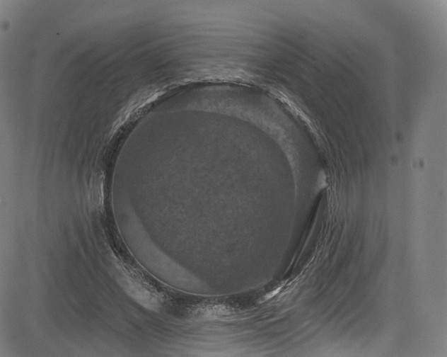 X0000085260685200703091324