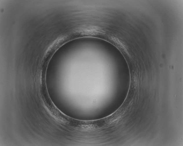 X0000085260686200703091324