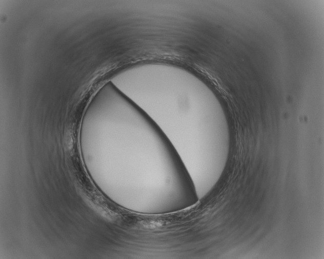 X0000085260687200703091324