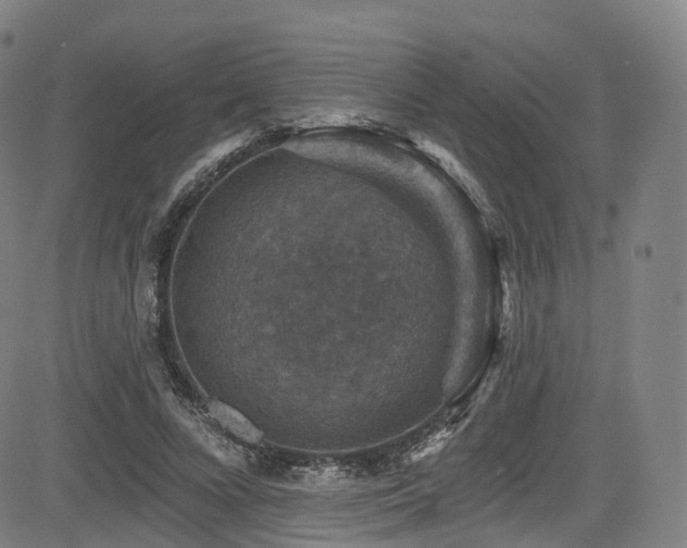 X0000085260688200703091324