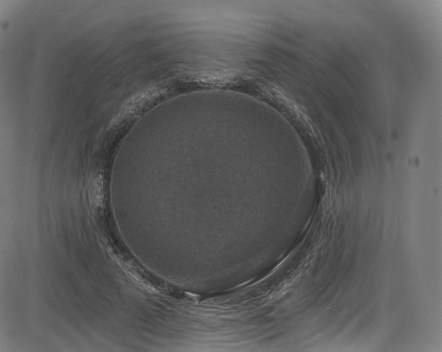 X0000085260689200703091324