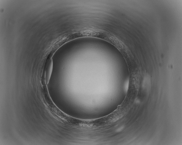 X0000085260690200703091324