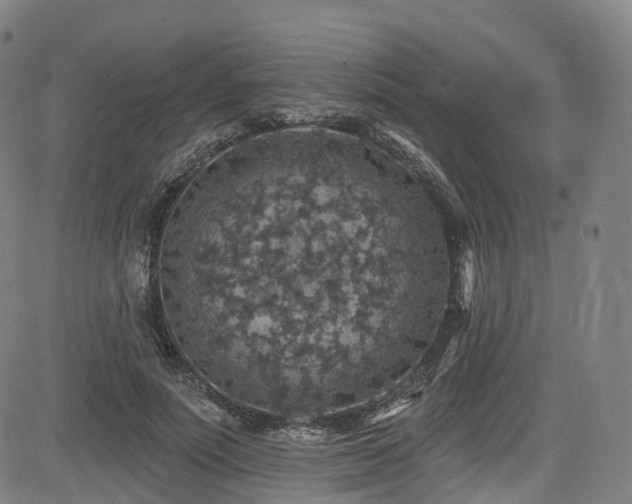 X0000085260691200703091324