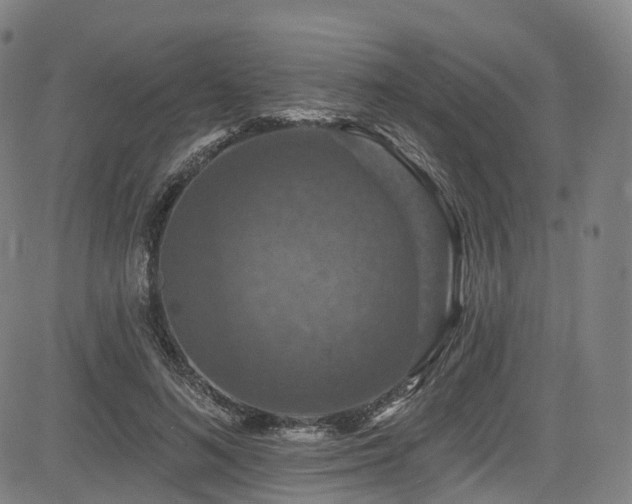 X0000085260692200703091324