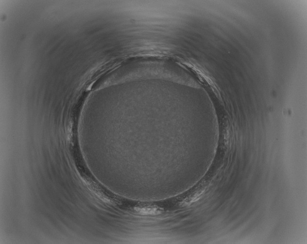 X0000085260693200703091324