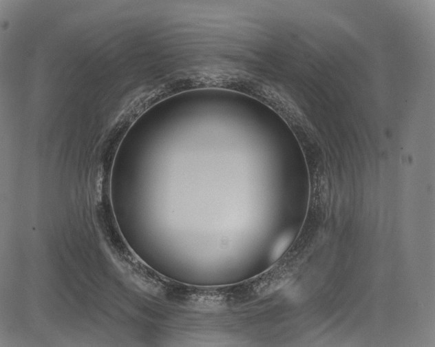 X0000085260694200703091324