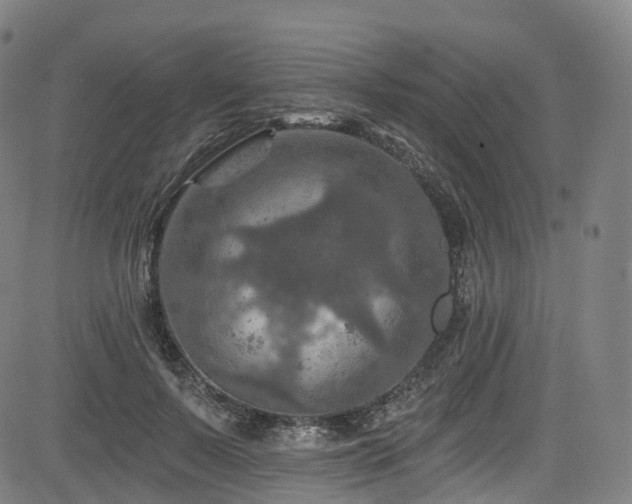 X0000085260695200703091324