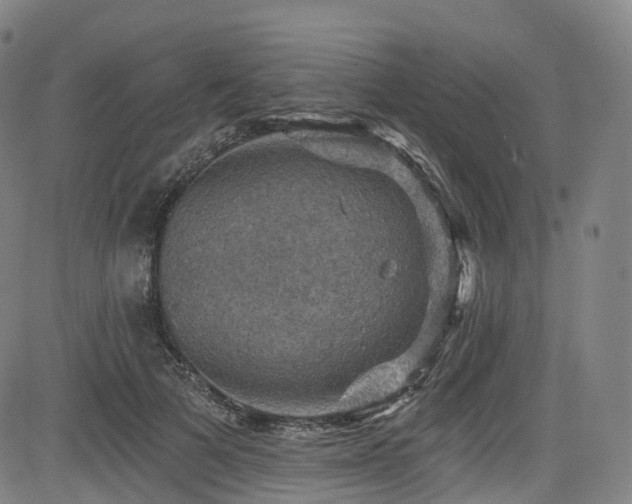 X0000085260697200703091324