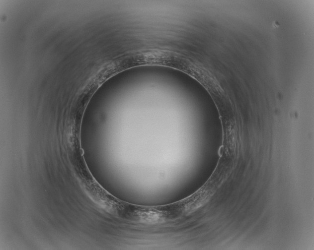 X0000085260698200703091324