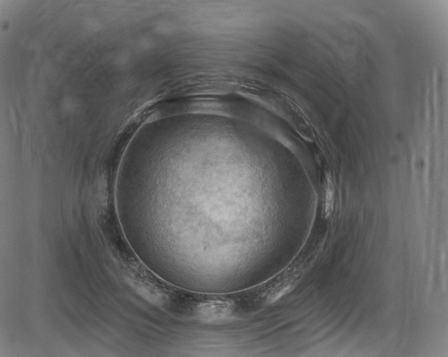 X0000085260700200703091324