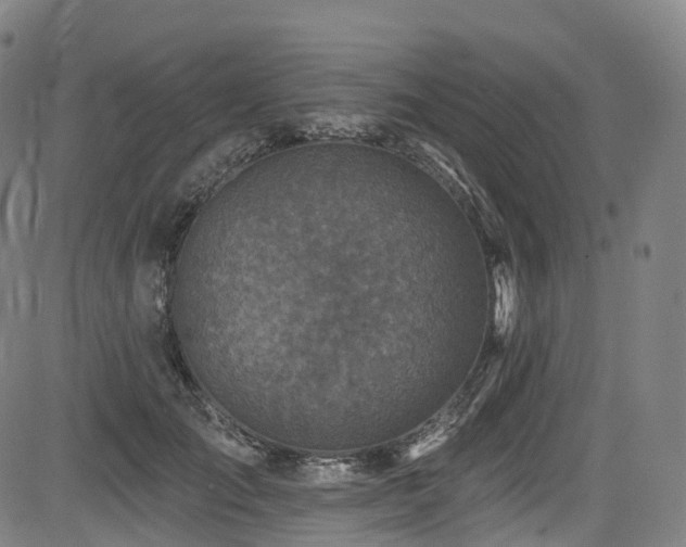 X0000085260701200703091324