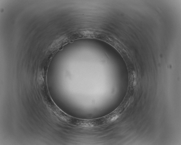 X0000085260702200703091324