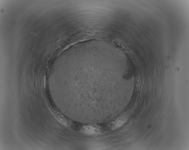 X0000085260703200703091324