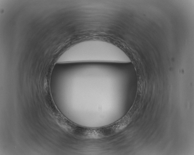 X0000085260704200703091324