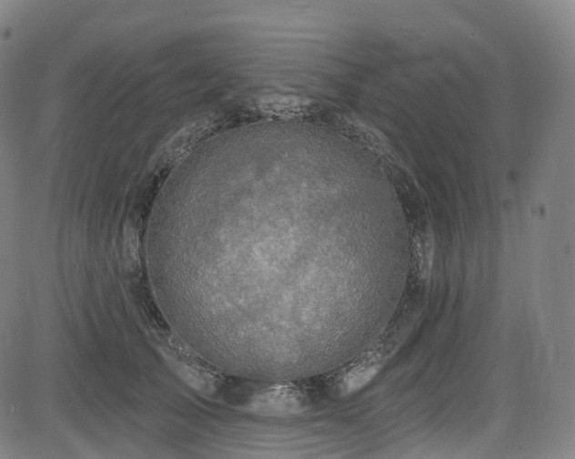 X0000085260705200703091324