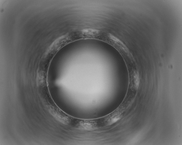 X0000085260706200703091324