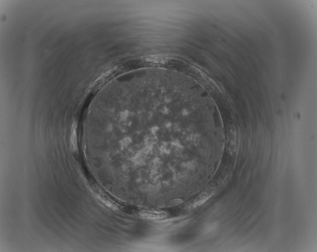 X0000085260707200703091324