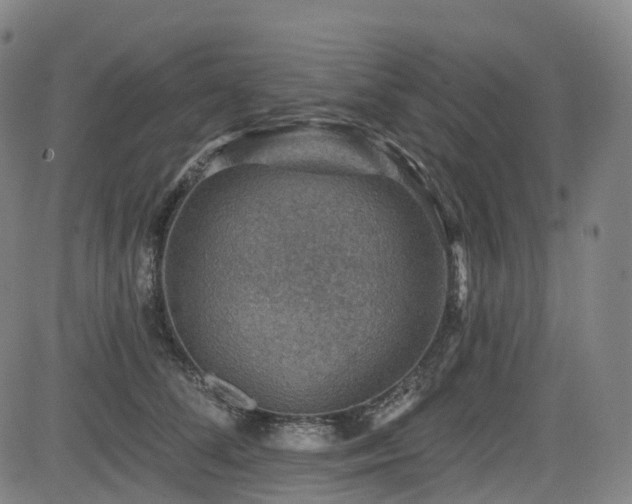 X0000085260708200703091324