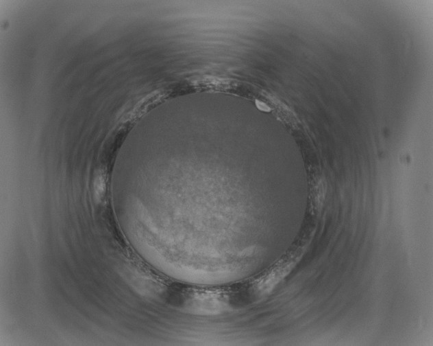 X0000085260709200703091324