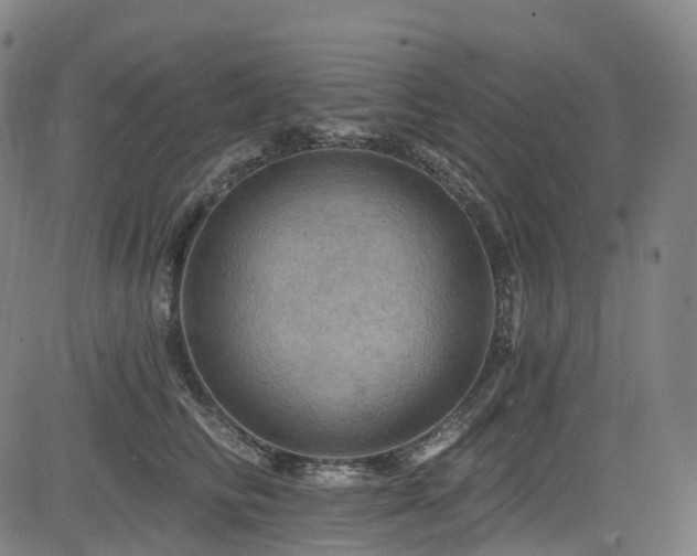 X0000085260710200703091324