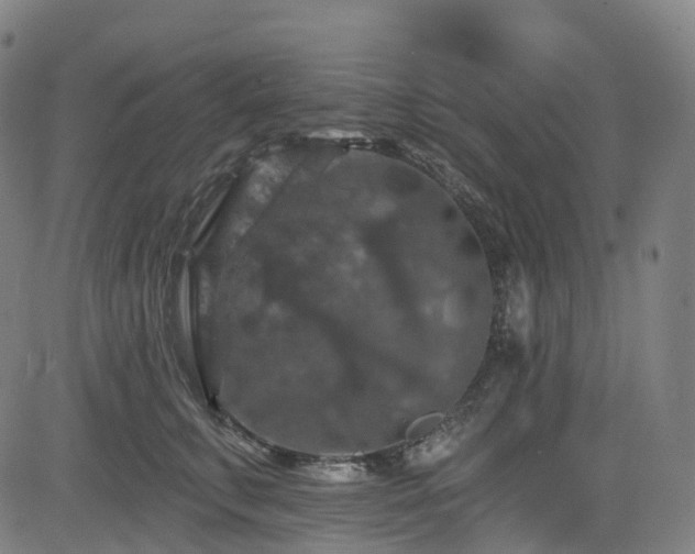 X0000085260711200703091324