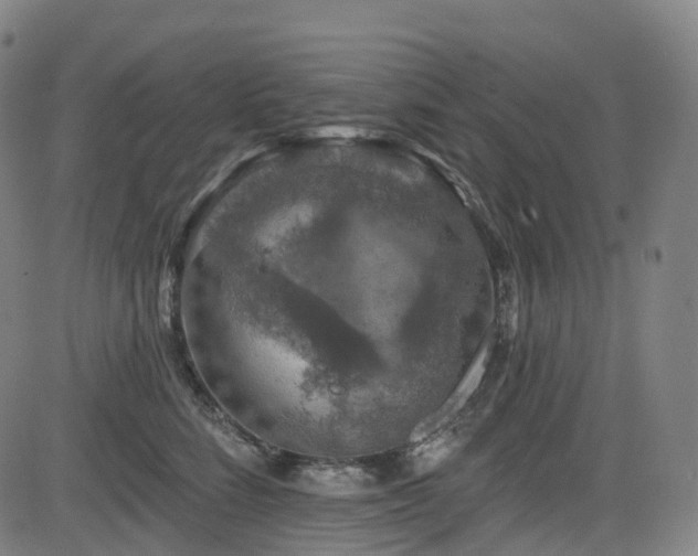 X0000085260712200703091324