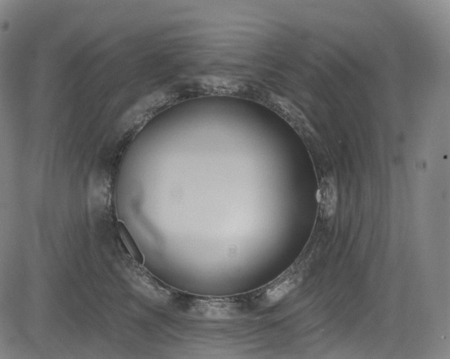 X0000085260713200703091324