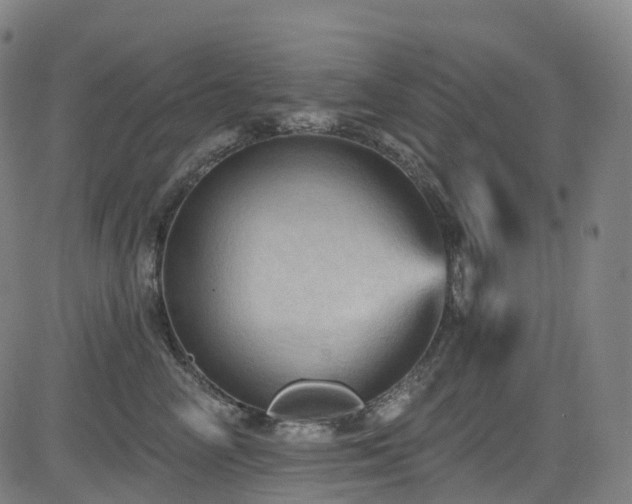 X0000085260714200703091324