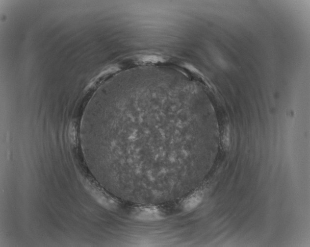 X0000085260715200703091324