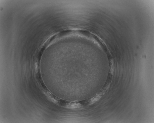 X0000085260716200703091324