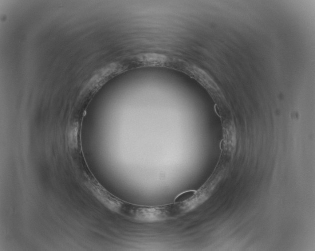 X0000085260717200703091324